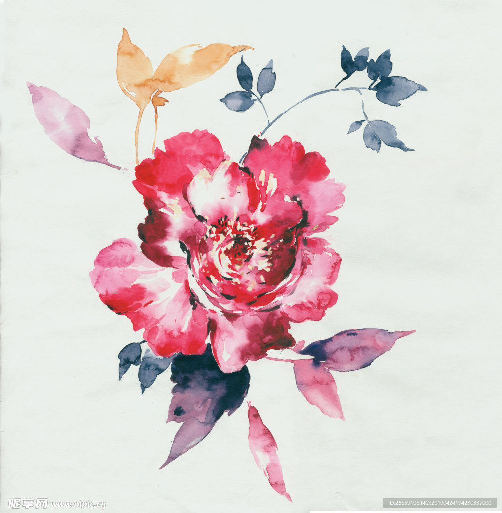 手绘花卉