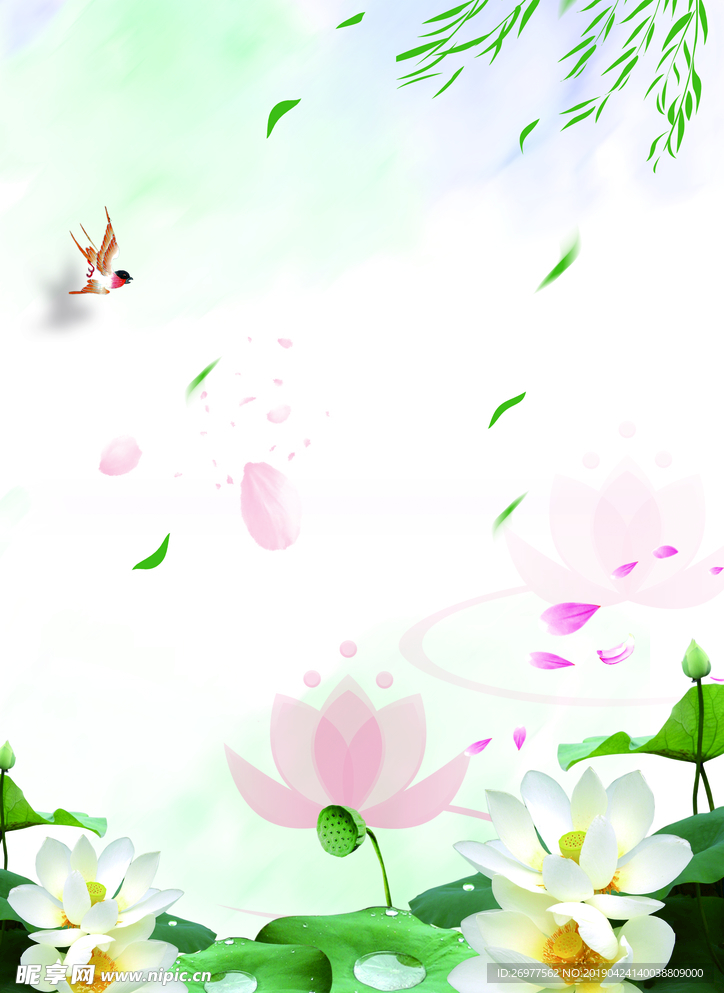 荷花