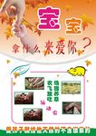 简约猪肉宣传单