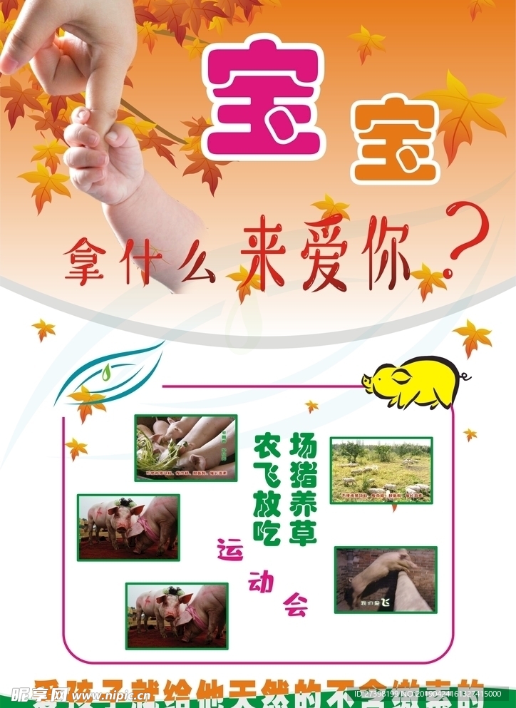 简约猪肉宣传单