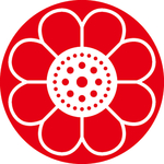 花瓣花纹
