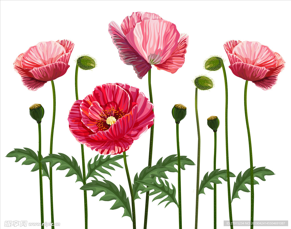 花卉