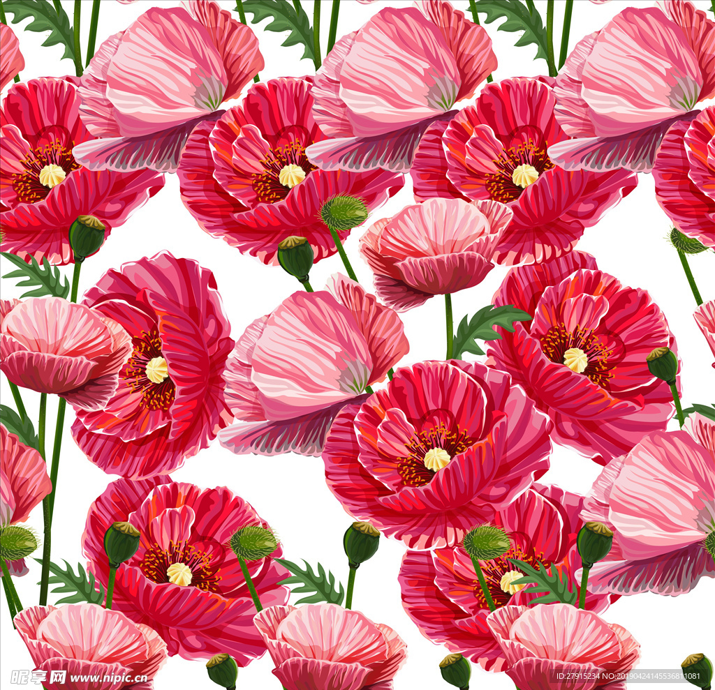 花卉