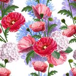 花卉