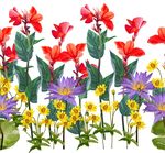 花草