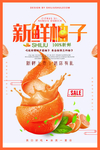 柚子海报