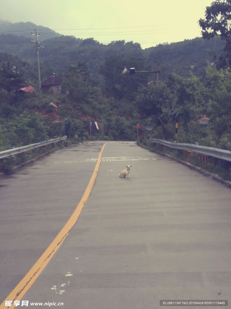 平凡之路