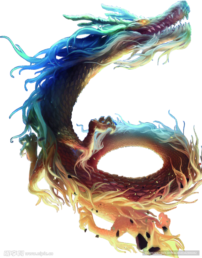 龙