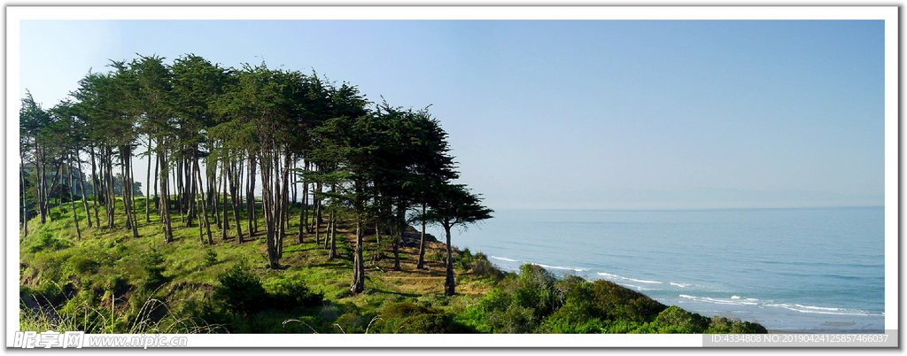 大海