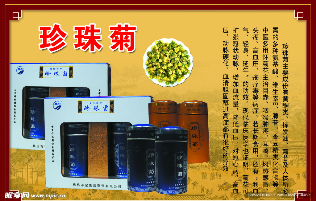 珍珠菊