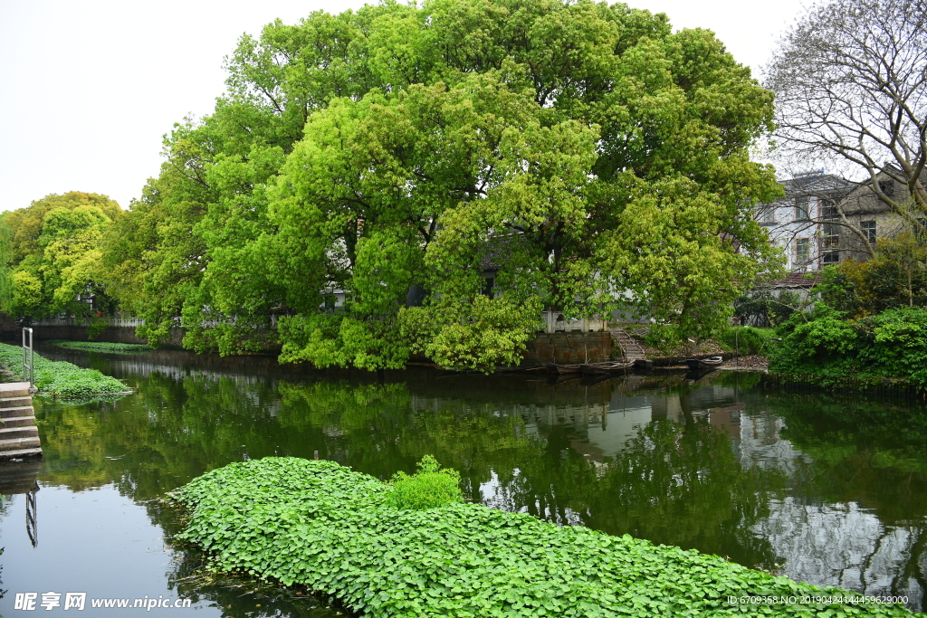 河