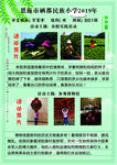 春游手抄报