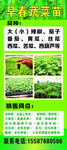 蔬菜苗展架