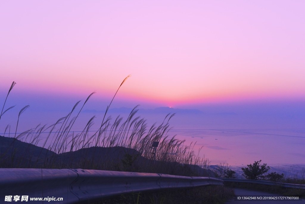 海边 日落 芦苇 夕阳 山水