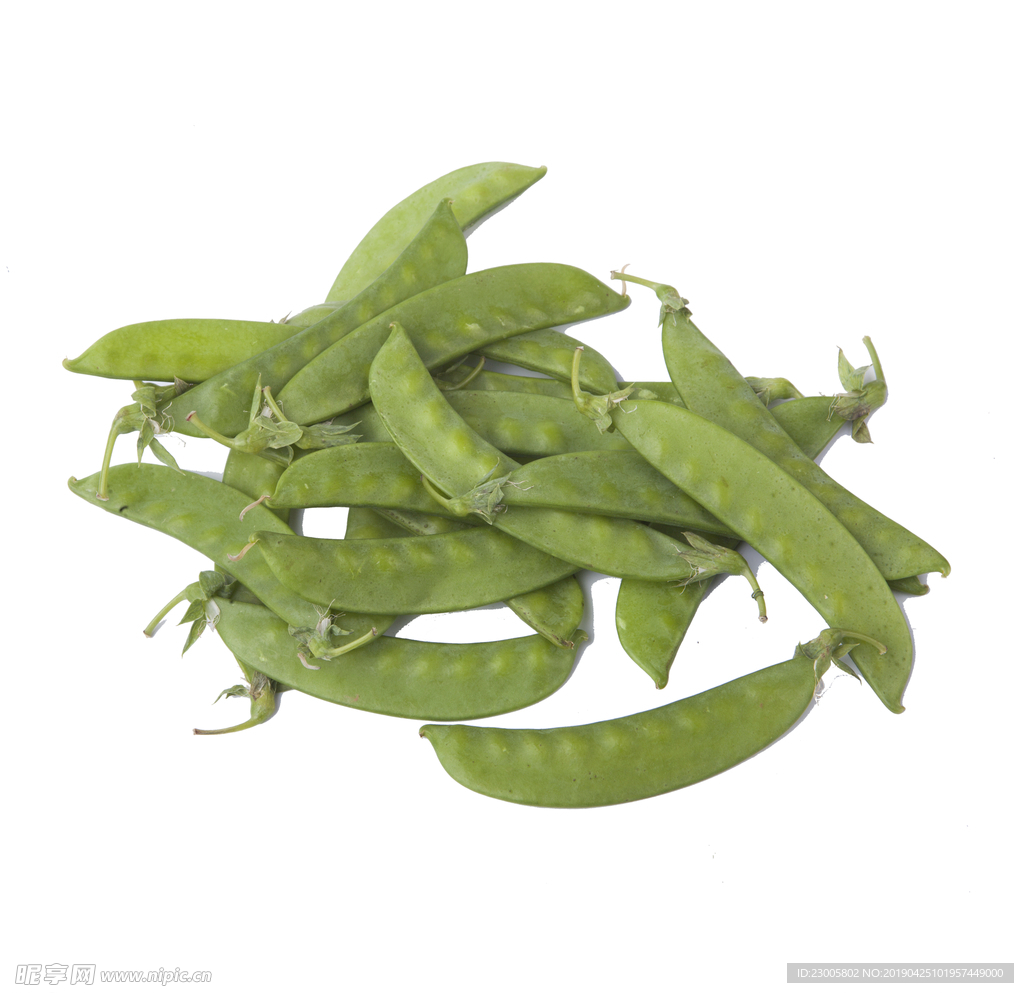 免扣豆角素材