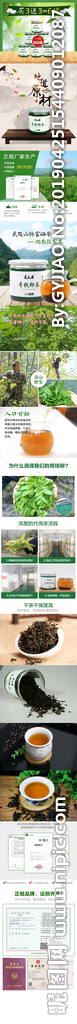 青钱柳详情
