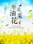醉美油菜花