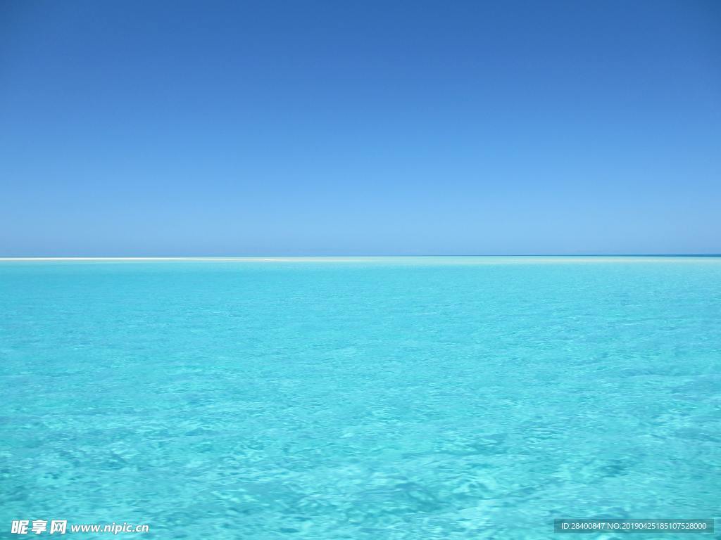 海