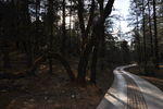 山中小路
