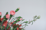 插花