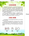 宠物医院海报