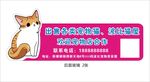 宠物猫