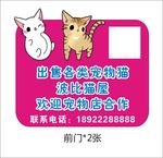 宠物猫