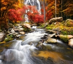 风景 树林 山区 河水 清晰