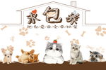 卡通宠物字