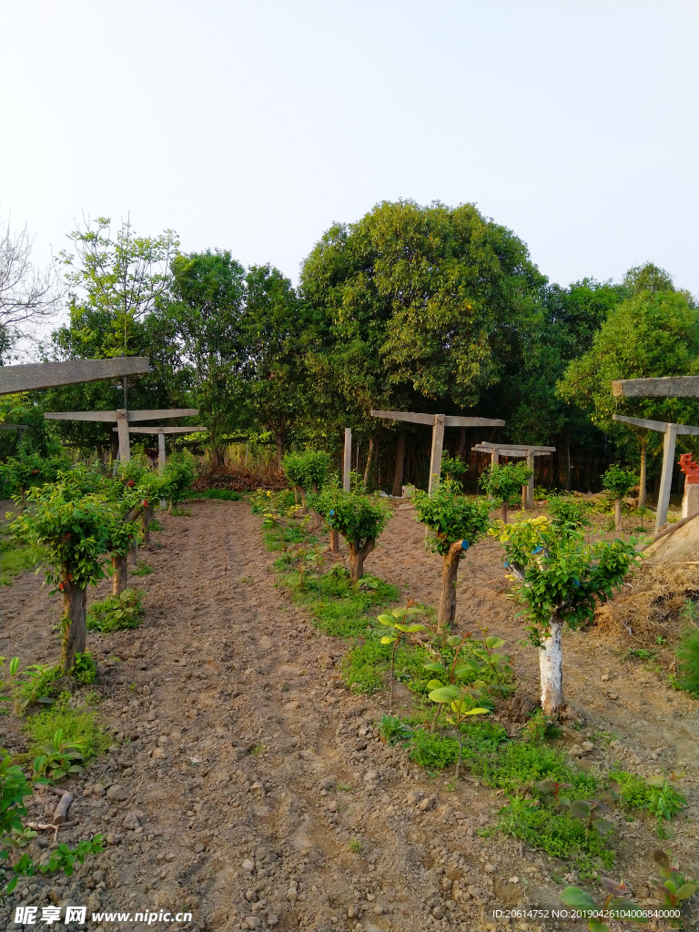 乡村田园风景