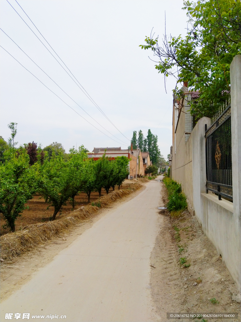 乡村道路风景