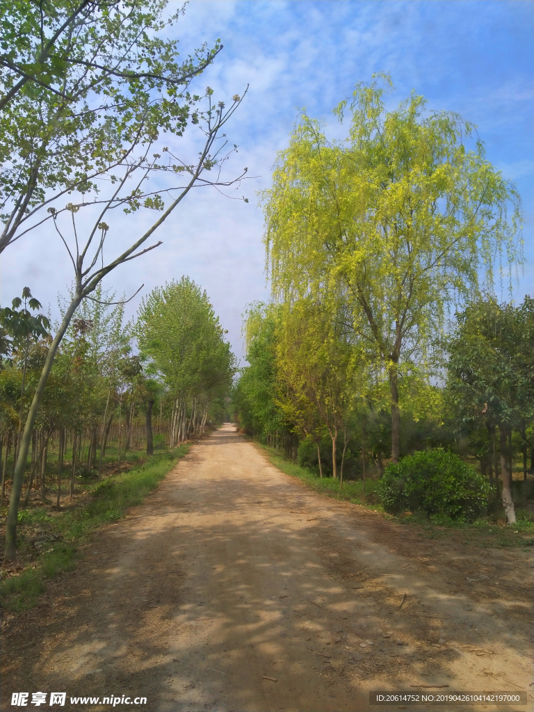 乡村田园风景