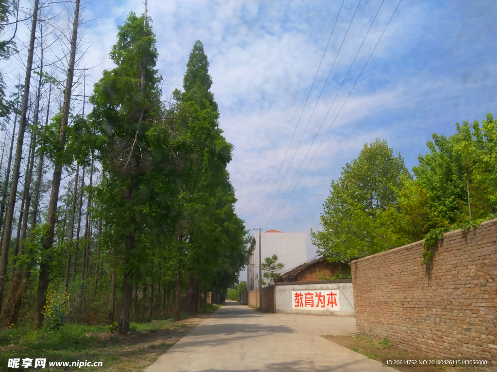 乡村道路美景
