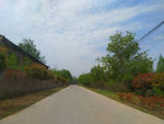 乡村道路风景