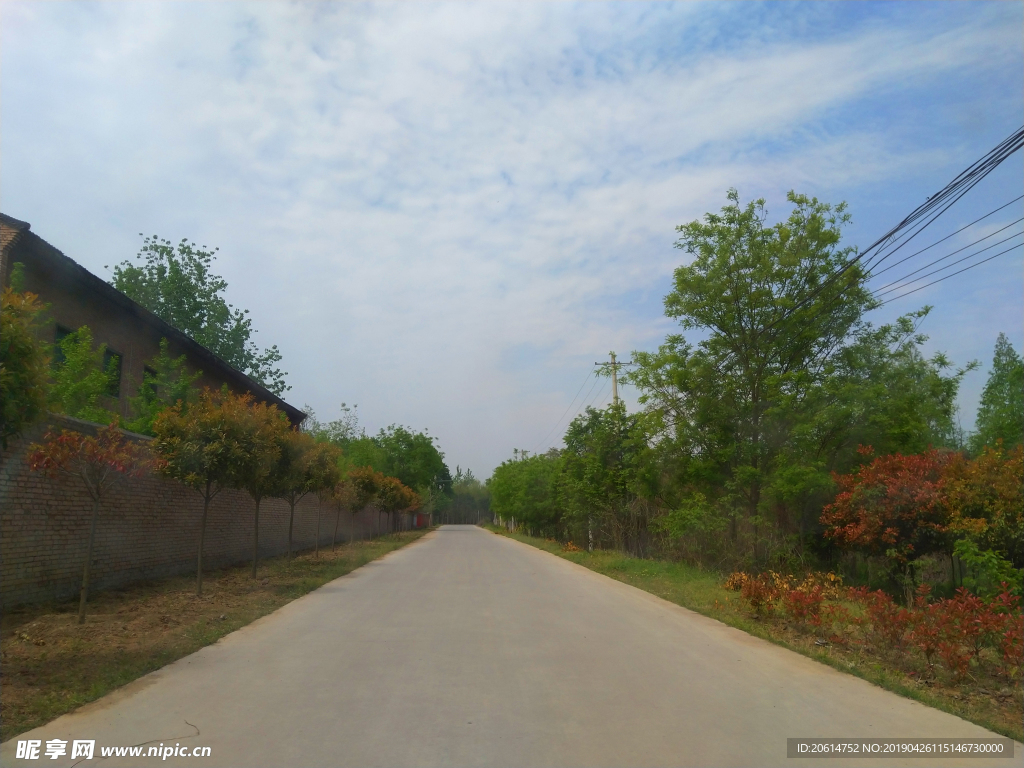 乡村道路风景