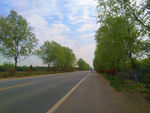 乡村道路美景