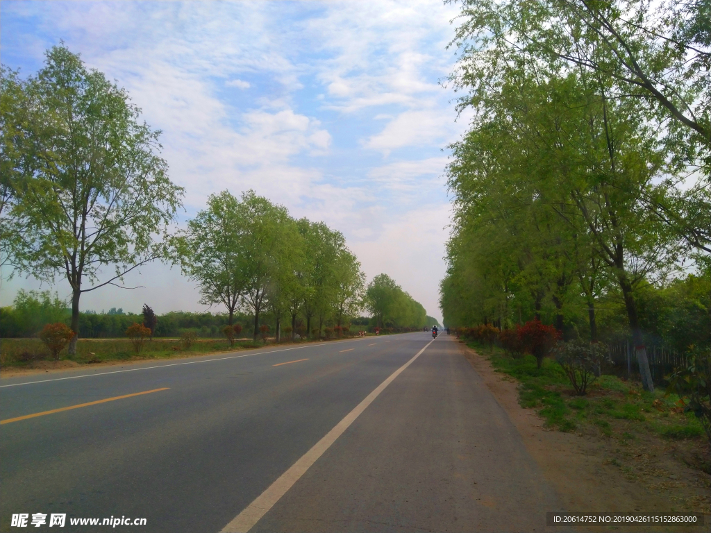 乡村道路美景