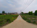 乡村道路风景