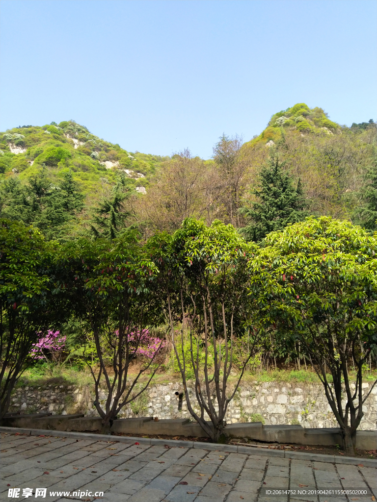 美丽的大山风景