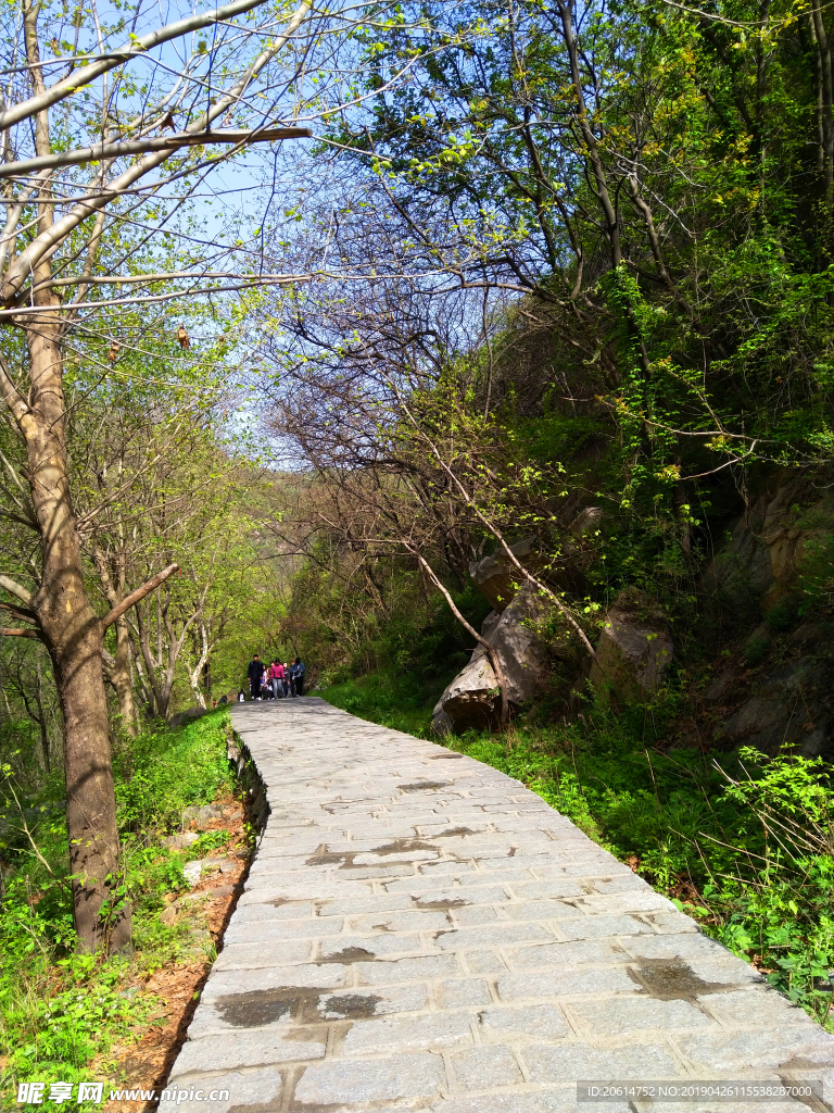 山路美景