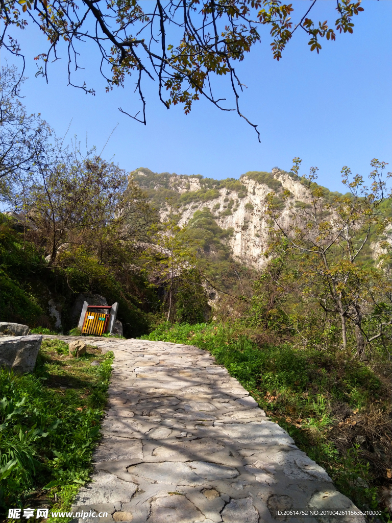 大山美景