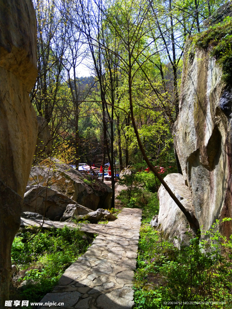 美丽的大山风景