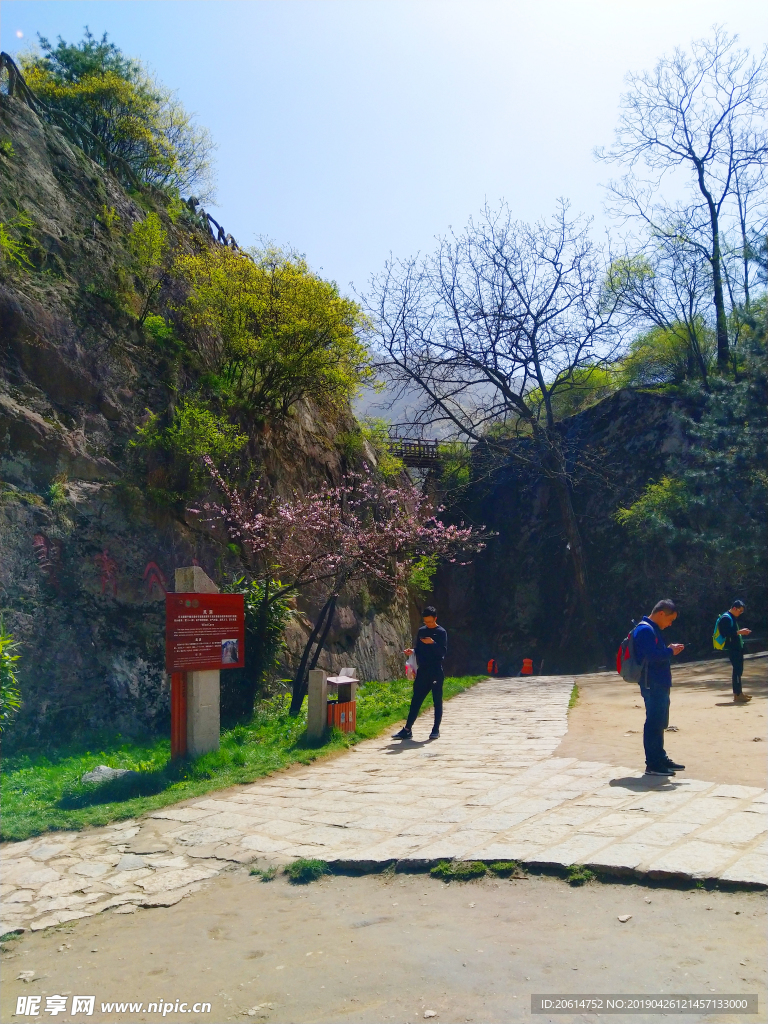 美丽的大山风景