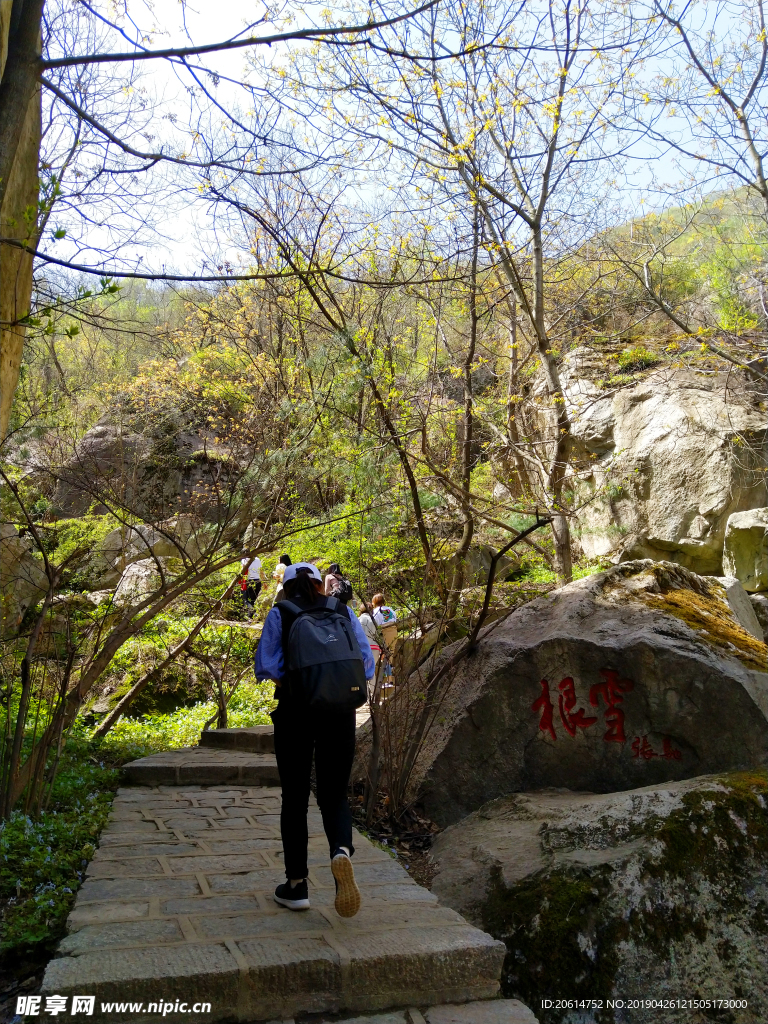美丽的大山风景