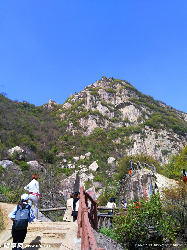 美丽的高山风景