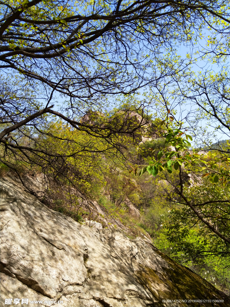 美丽的大山风景