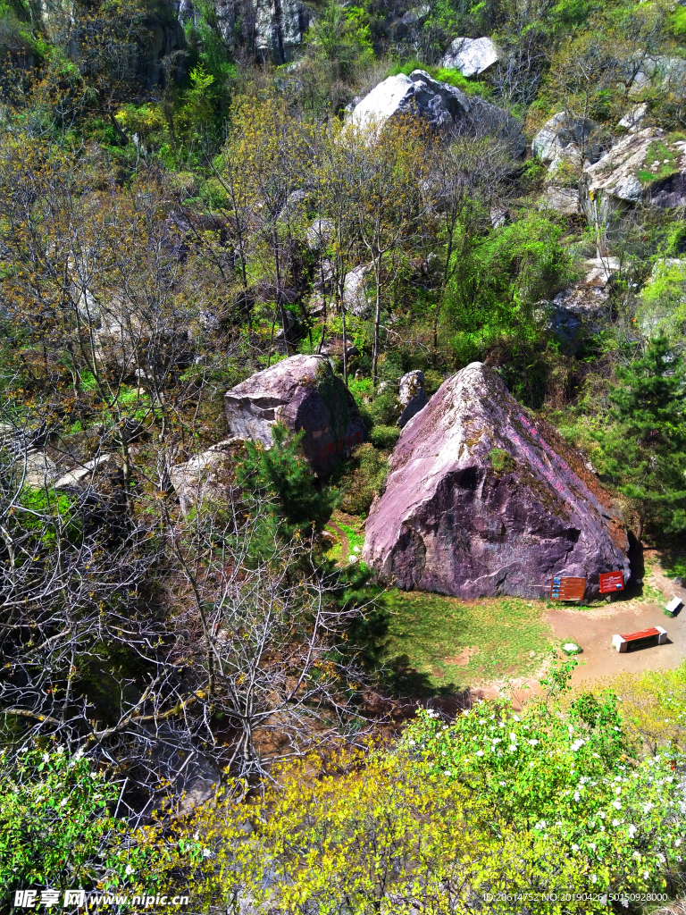 郁郁葱葱的大山