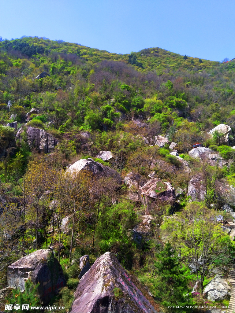 壮丽的高山风景