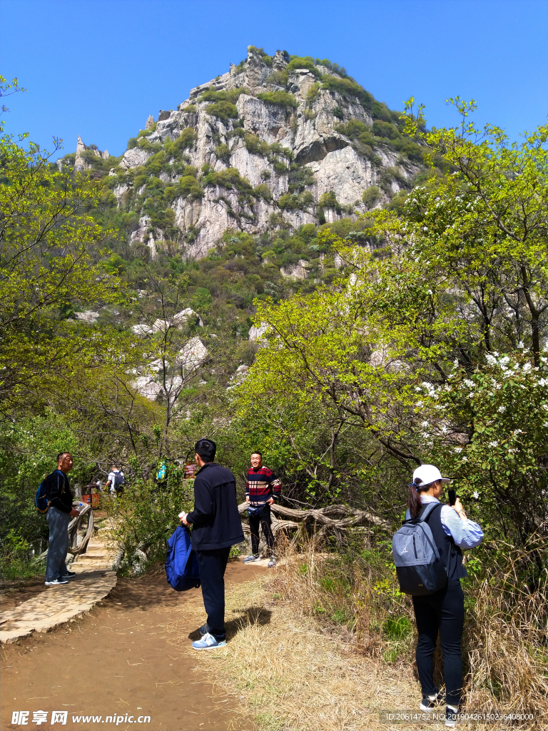 壮丽的高山风景