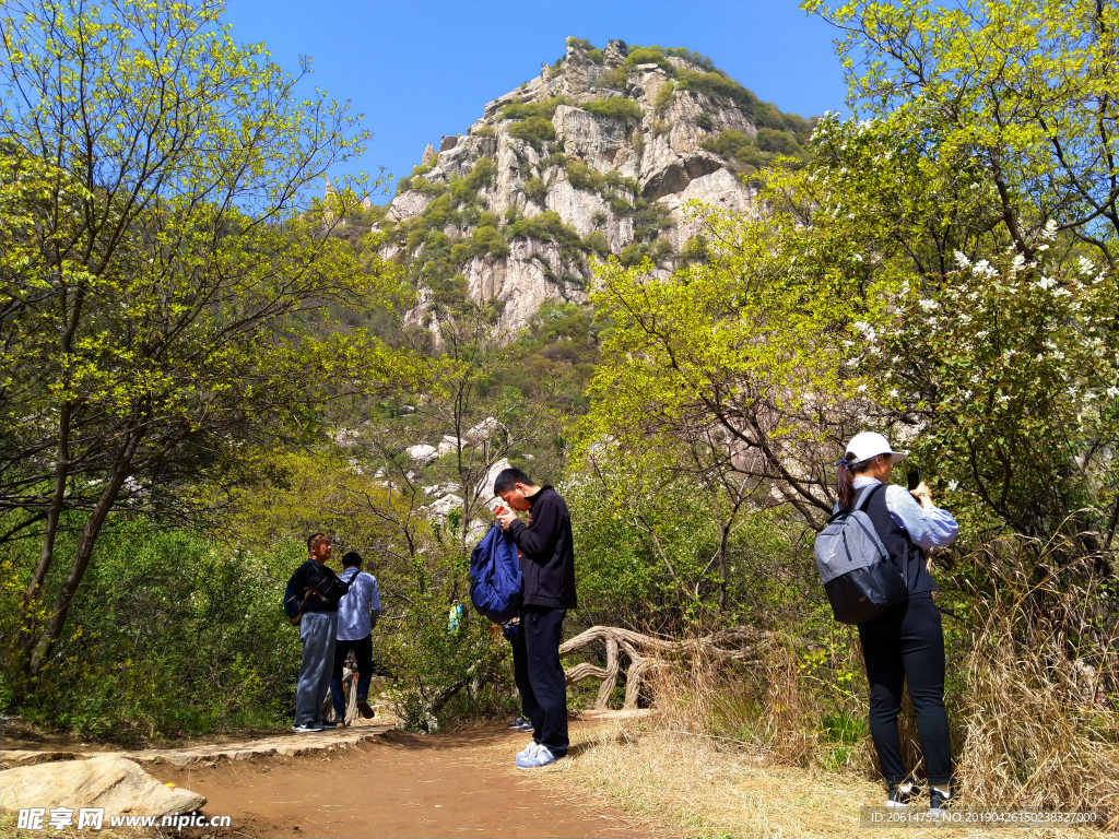 壮丽的高山风景